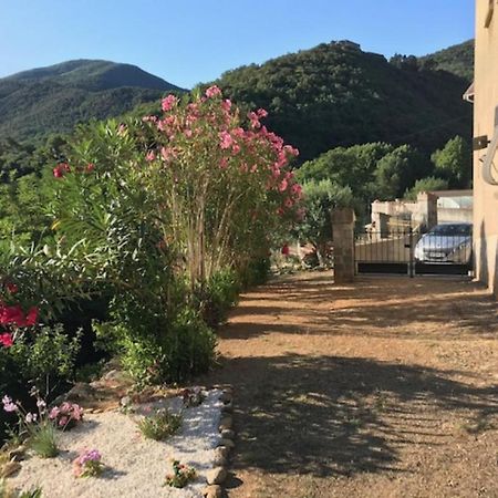 Bel Appartement Type F3 アメリ・レ・バン・パラルダ エクステリア 写真